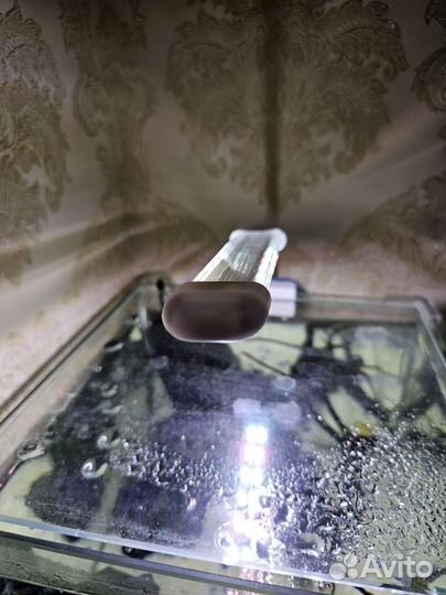 Аквариум с рыбками