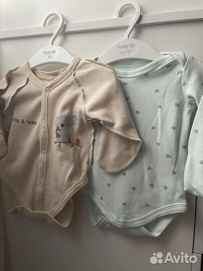 Боди 62 размера