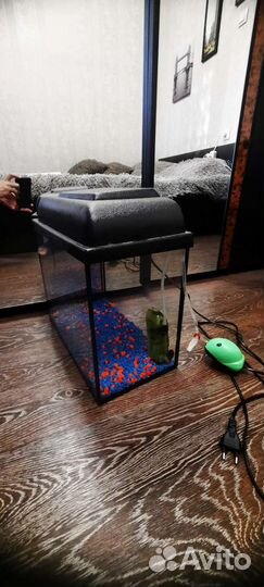Аквариум 20 литров с лампочкой