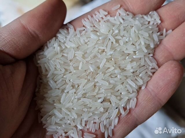 Рис для животных во Владимире