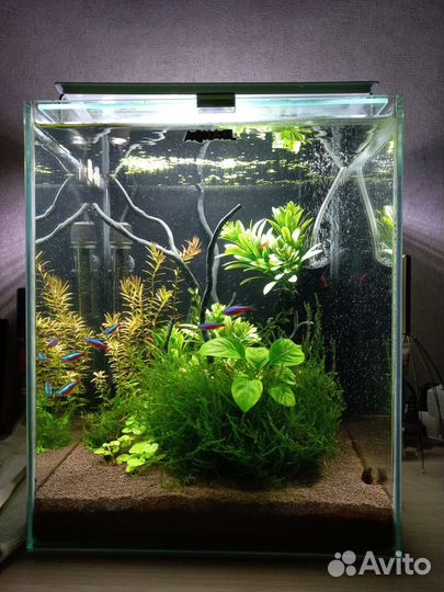 Аквариум Aquael нано кубик 30 литров