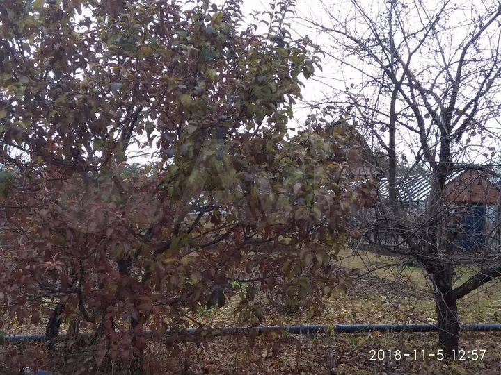 Участок 9 сот. (СНТ, ДНП)