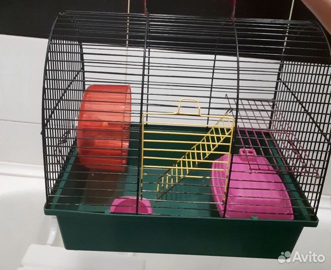 Ангорские хомячки и клетки