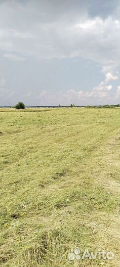 Сено в тюках,в рулонах с доставкой вес 3 центнера