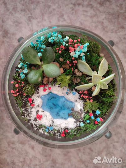 Флорариум. Мини сад