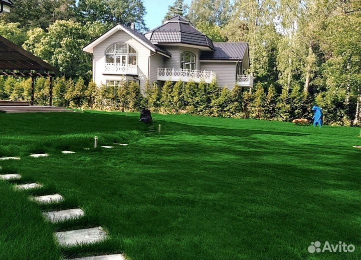 Рулонный газон 