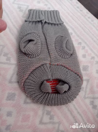 Вещи для мелких пород собак