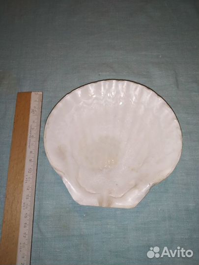 Тарелка-ракушка декоративная