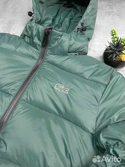 Зимние куртки Lacoste Premium