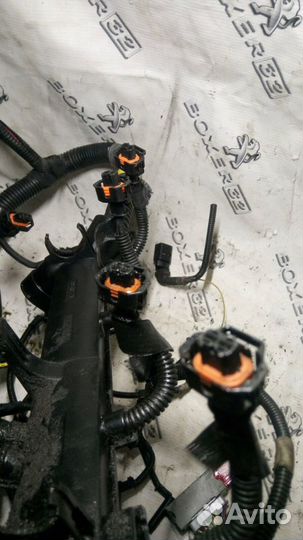 Проводка двигателя Fiat Ducato 290 2.3