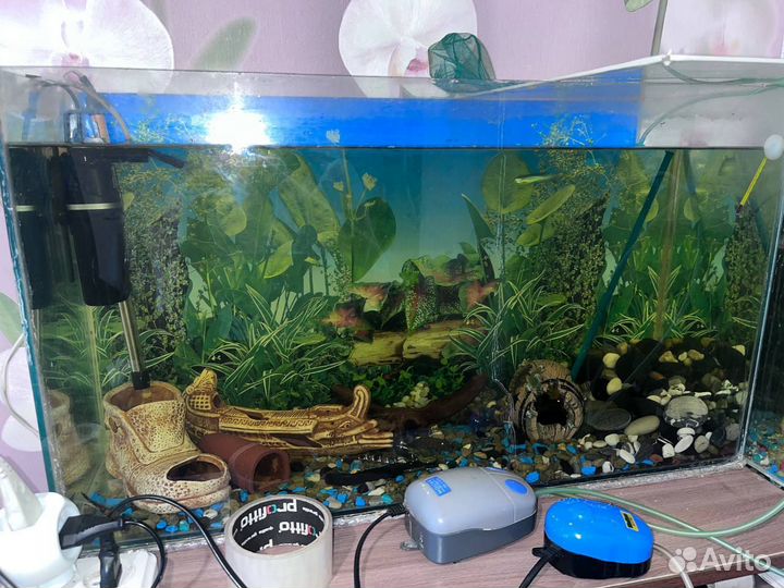 Аквариум с рыбками