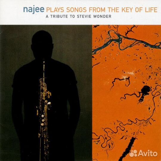 Najee - plays songs from THE KEY OF life /promo