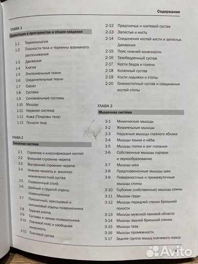 Атлас неттера