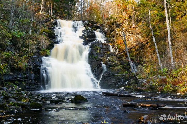 Индивидуальные туры по Карелии, Рыбалка, Охота