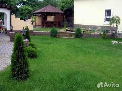 Укладка и продажа газона