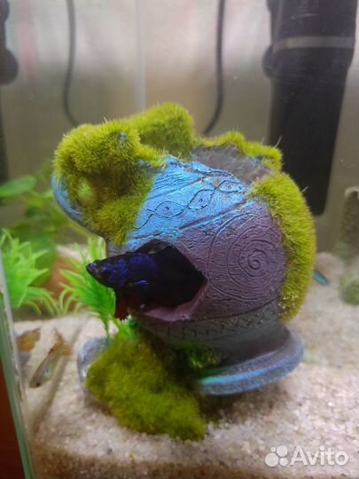 Аквариум на 18лс фильтром