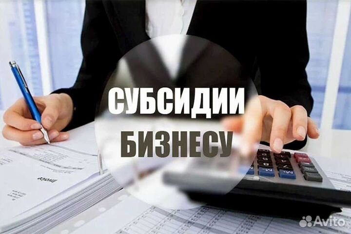 Помощь в получении субсидий на бизнес