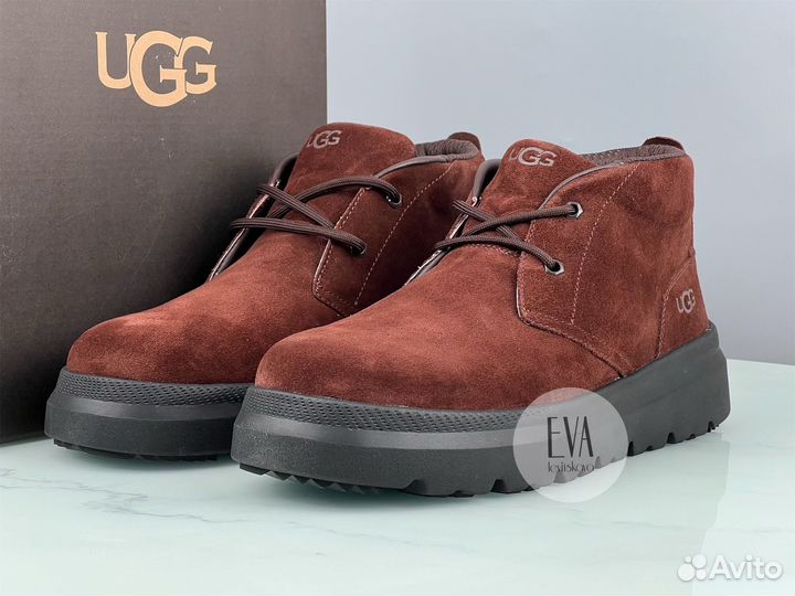 Мужские ботинки Ugg Chukka Dusty Cocoa