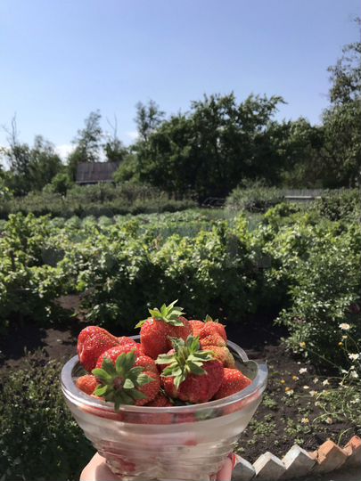 Дача 20 м² на участке 12 сот.