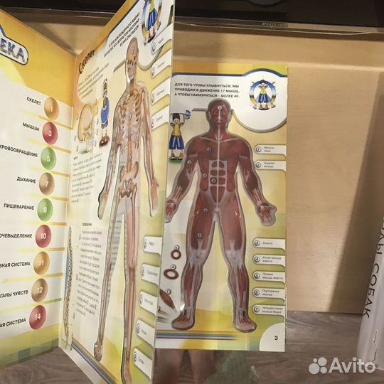 Энциклопедии для детей