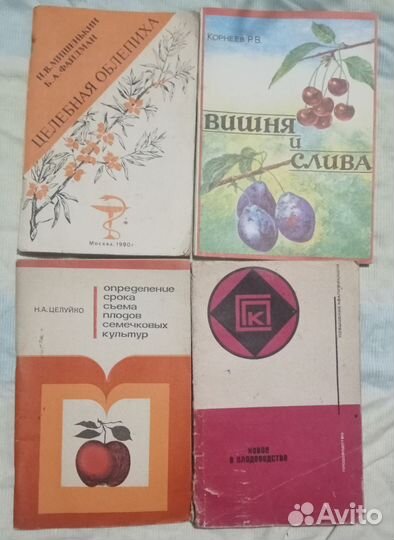Сад, овощеводство