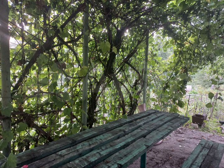 Дача 42 м² на участке 6 сот.