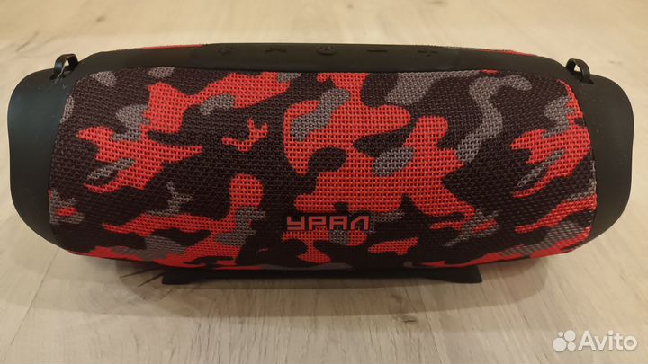 Портативная акустическая система