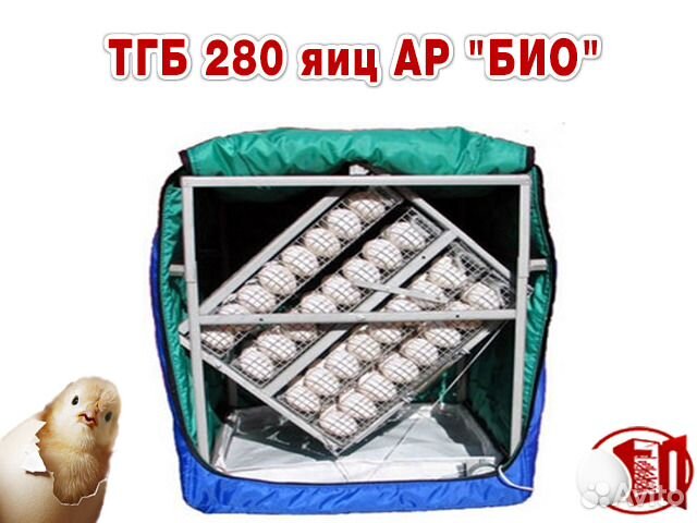 Инкубатор