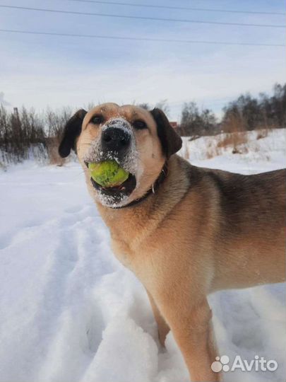 В надежде на любовь