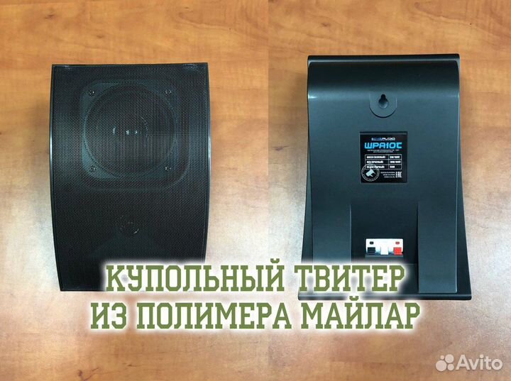 Настенная акустика cvgaudio WPA10TW