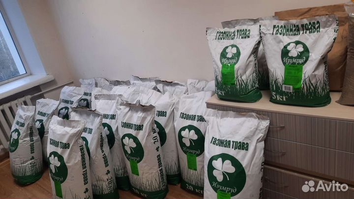Газонная трава(оригинал) Изумруд;Беларусь