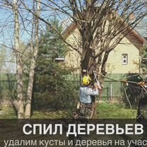 Расчистка участка под ключ