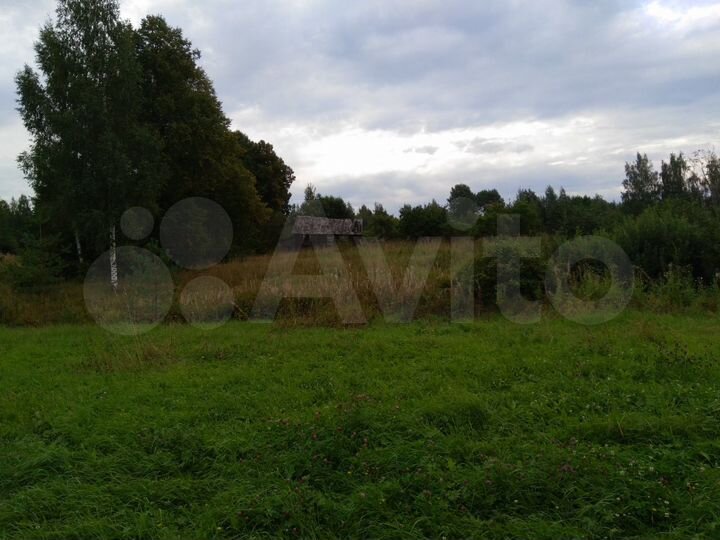 Участок 50 сот. (ИЖС)