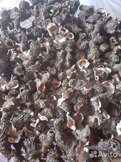 Грибы сморчки свежие, сушеные