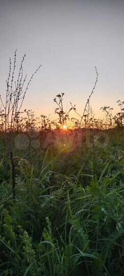 Участок 9 сот. (ИЖС)