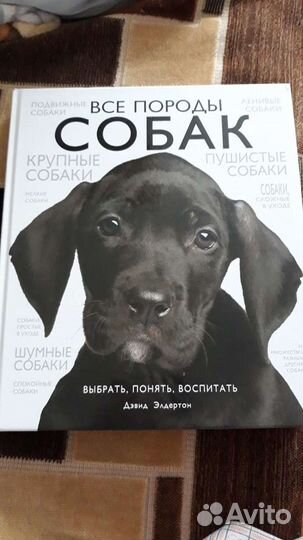 Энциклопедия