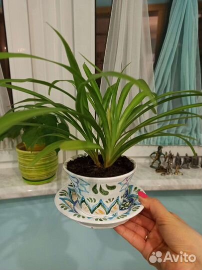 Кашпо керамика ручной работы