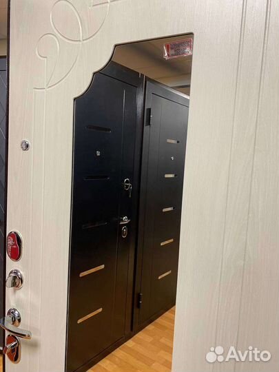 Входные двери с зеркалом