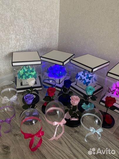 Роза в колбе подарок девушке