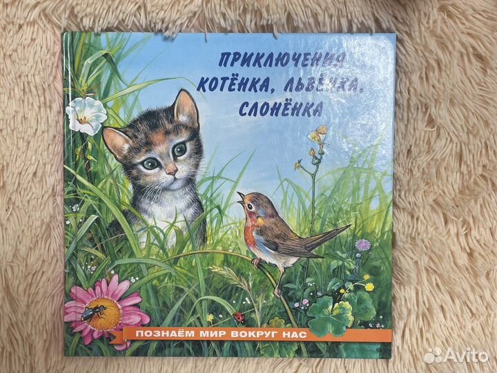 Новые детские книги миф, Мелик Пашаев, Речь