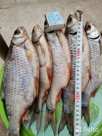 Рыба вяленая