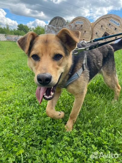 4 малыша из приюта мечтают о доме