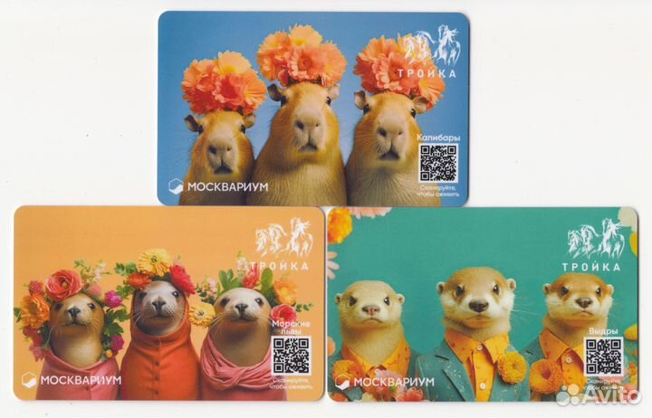 Коллекционные карты тройка серии Москвариум