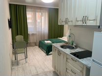 Квартира-студия, 24 м², 2/23 эт.