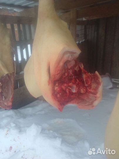 Мясо свинины