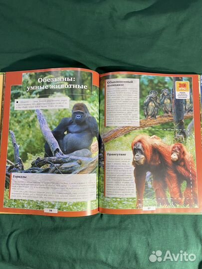 Всё о животных. Детская энциклопедия