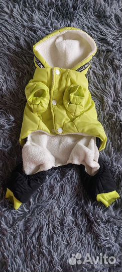 Одежда для маленьких собак