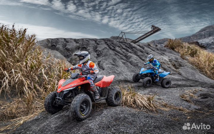 Cfmoto cforce 110 EFI