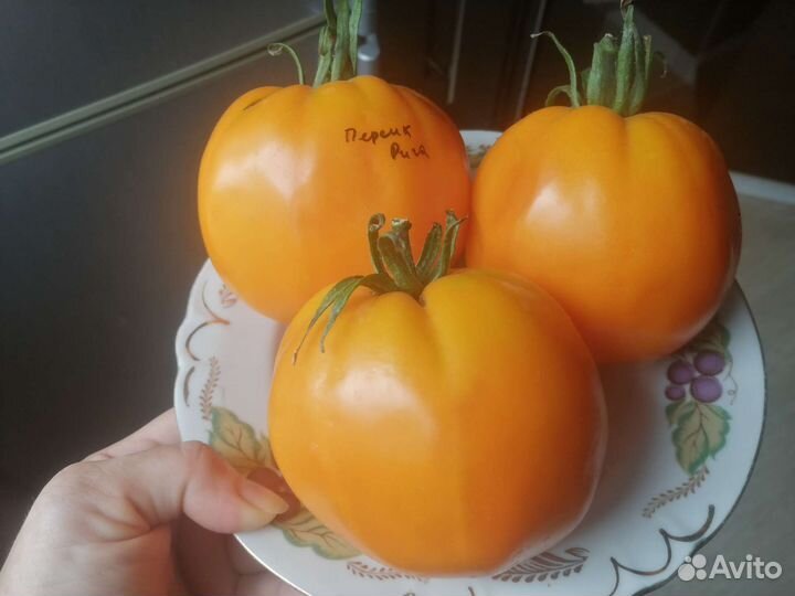 Семена томата