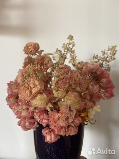 Сухоцветы для творчества